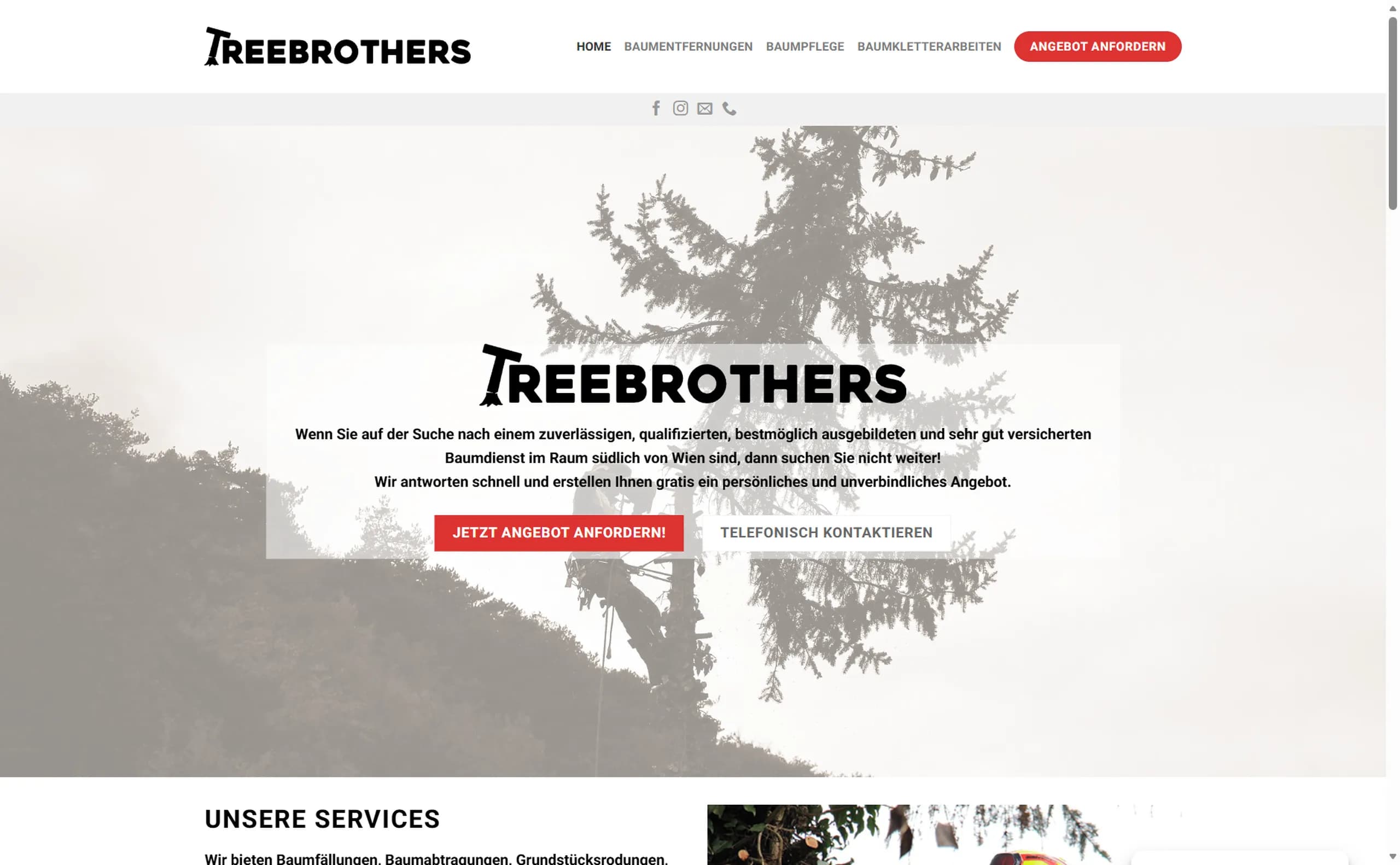 Treebrothers